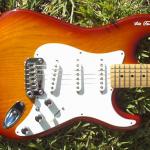 S-500 Leo Fender Signature Body