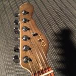 CS1812017 headstock