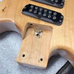 prototype angled MFD mini humbuckers-5