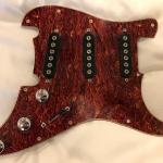 S-500 pickguard