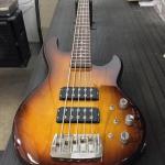 L-2500 in Old School Tobacco Sunburst over empress Chechen fretboard