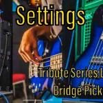 Settings-Tribute Series L-2000 Bridge Pickup