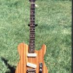 Anonymous 1995 ASAT (zebrawood)