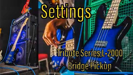 Settings-Tribute Series L-2000 Bridge Pickup