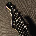 CLF2104013 headstock