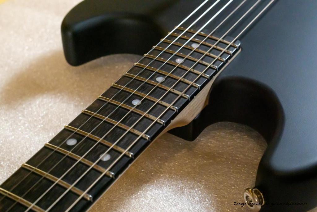 Custom Shop Rampage in Jet Black Frost-5