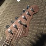 CS2010005 headstock