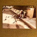 Photo by Leo Fender of a man in a park feeding birds