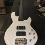 Ebony-Fretless-Ghostlines-Fretboard2