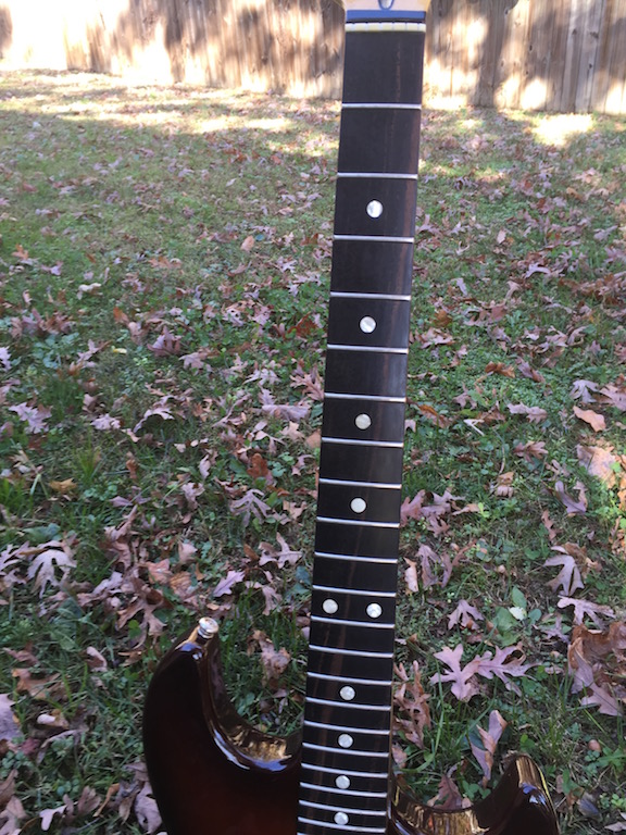 F-100 Ebony Neck Swirl 1