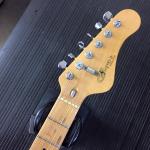 DM HG-2 headstock