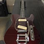 ASAT-Special-Bigsby2