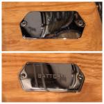 CLF battery plate