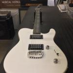 ASAT HH RMC in Pearl White ebony board