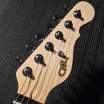 CS2102017 headstock