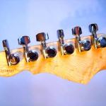 Headstock Rear