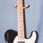 Anonymous 1991 ASAT Classic Signature