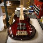 Tribute Series L-2500 in Redburst