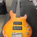 L-2500-Honeyburst-on-Empress