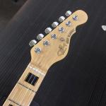 CLF1705019-headstock