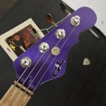 LB-100 Matching Headstock