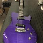 Royal-Purple-Metallic-SC-2