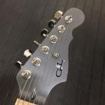 Matching headstock in Graphite Metallic Frost