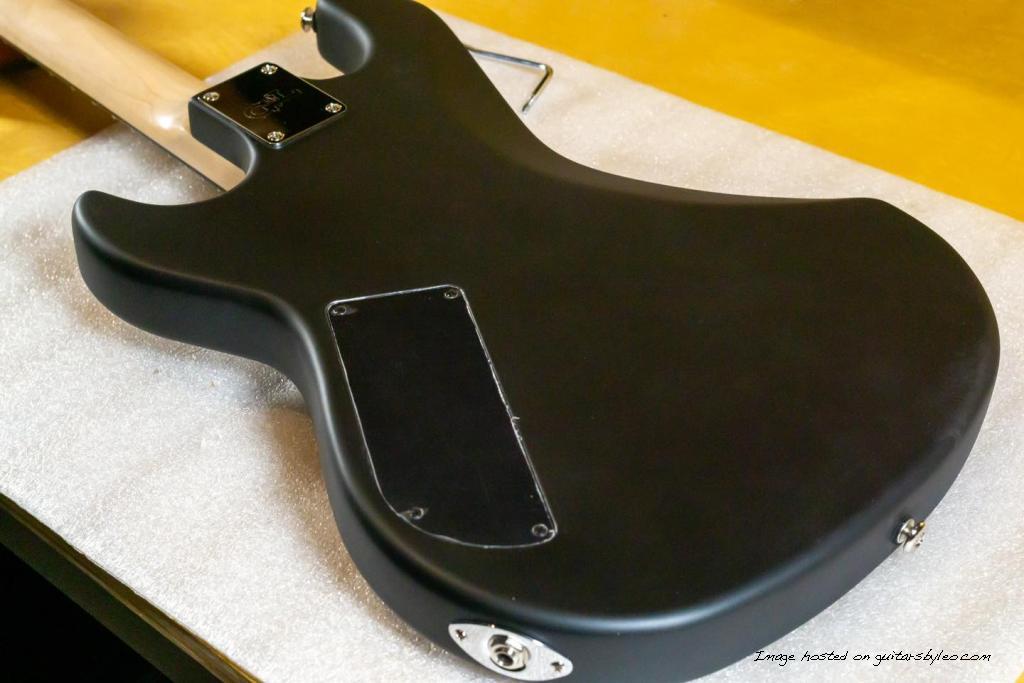 Custom Shop Rampage in Jet Black Frost-6