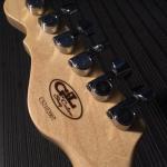 CS2102007 back of headstock