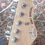 ASAT Special Headstock