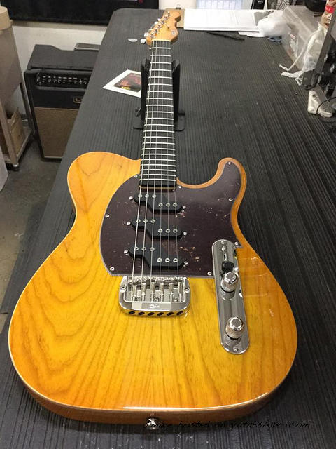 Honeyburst-Z-3