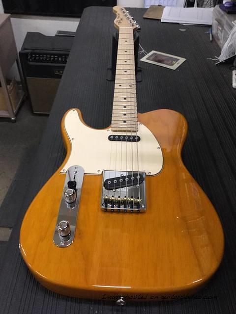 AC in Honey over swamp ash