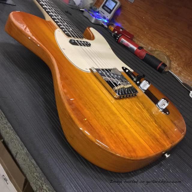 AC in Honeyburst over spalted alder on swamp ash2