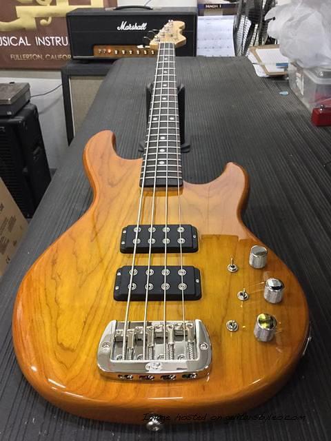 L-2000 in Honeyburst over swamp ash