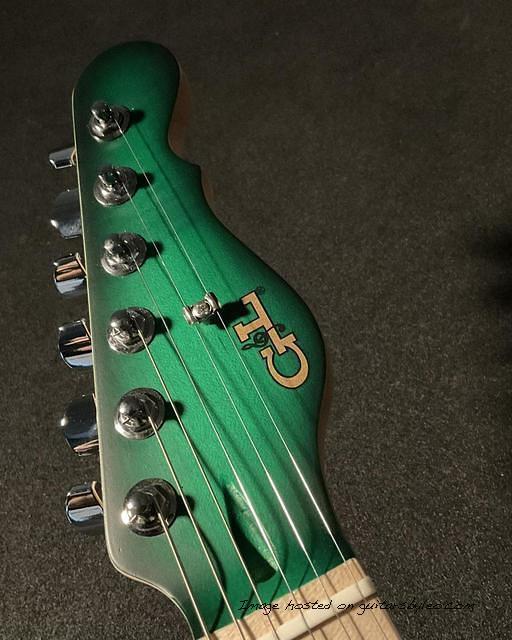 ASAT Special in Greenburst Frost over swamp ash-2