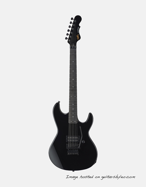 Rampage 24 in Jet Black finish with Ebony fretboard