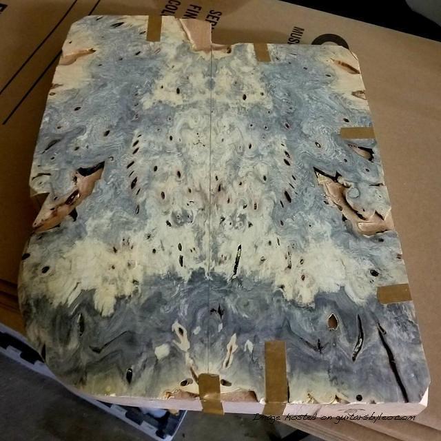 Buckeye Burl top spread ready for cutting
