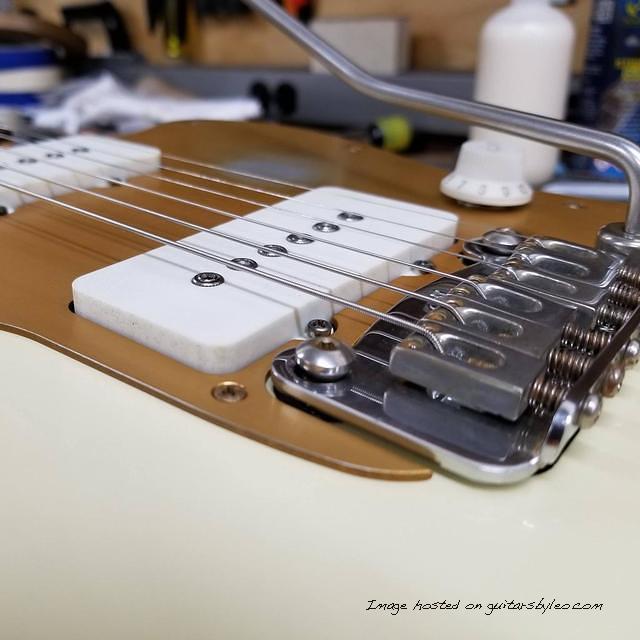 Closeup detail of Doheny bridge pickup and vibrato