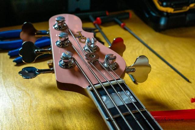 Custom Shop MJ 5 in Shell Pink over Empress4