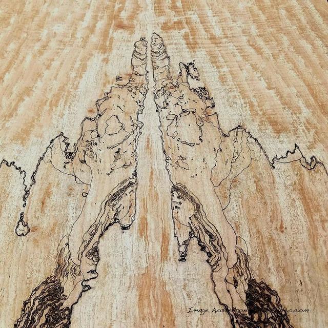 Spalted Maple top What do you see 