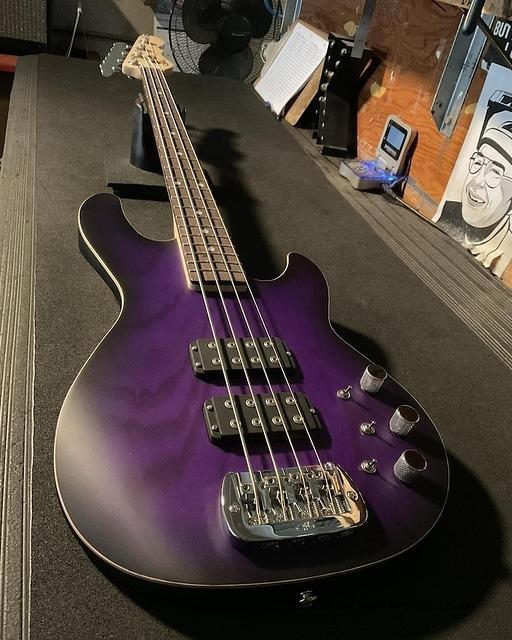 L-2000 in Purple Burst Frost over swamp ash