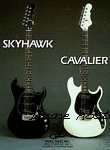 84SKYCAV