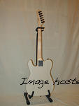 G L C L F Centennial back view 001