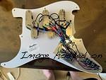 Chandler Pickguard with 6 DPDT Center Off Switches and Potentiometers Back