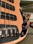 1985 Leo Fender Prototype Single Coil Bi-pole pickups x3-3 001