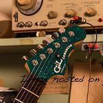 CLF43169 headstock