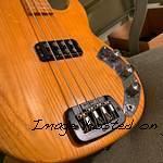 well-worn L-1000 was born on February 5 1982 and is owned by Jordan Brooks-3