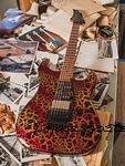 CS2505017