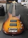 L-2500 in Old School Tobacco Sunburst over empress Chechen fretboard