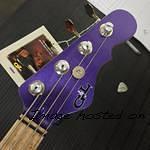 LB-100 Matching Headstock